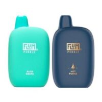 Flum Pebble Disposable eCig