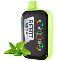 Remit MEGA 18000 Disposable Vape - Mint, 5%